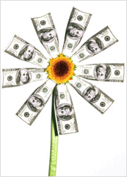 Spring Giveaway